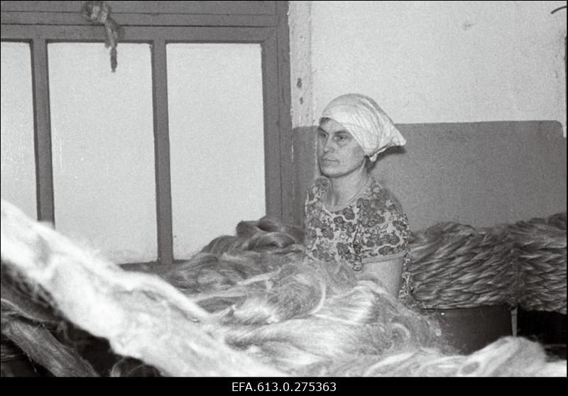 "01 detsember". Sindi Pärnu Linavabrik.