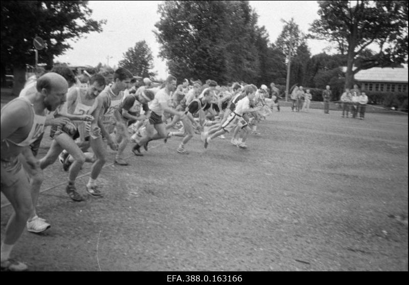 Nn. “kolme tamme jooks” Viiratsis.