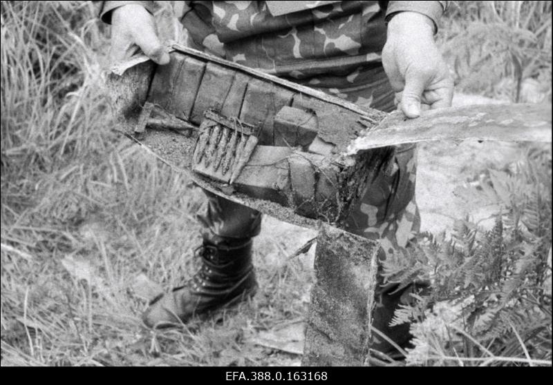 II maailmasõjaaegsete miinide otsimisel Võrtsjärve ääres leitud laskemoon