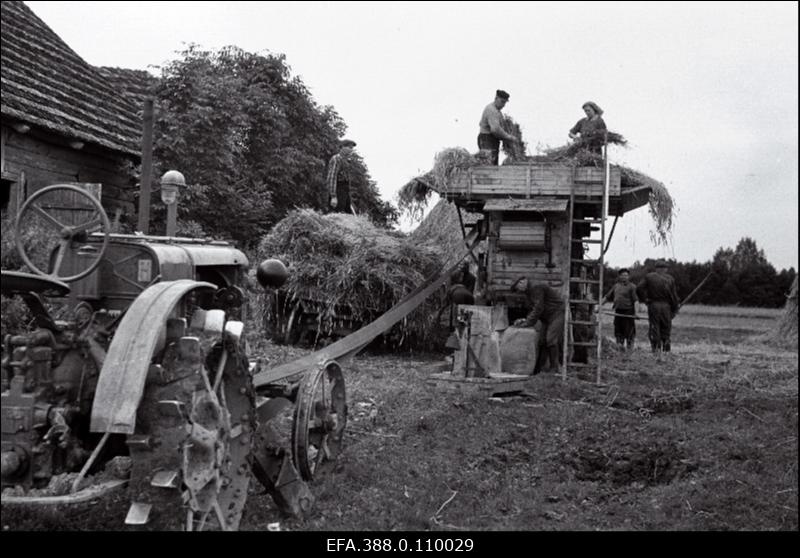 Rukkipeks Viljandi rajooni "Majaka" kolhoosis.