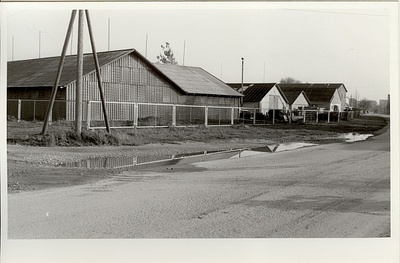 foto, Paide RTK laod Tööstuse tn. 04.10.1984.a.  duplicate photo