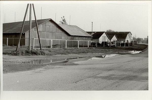 foto, Paide RTK laod Tööstuse tn. 04.10.1984.a.