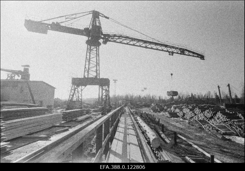 Vaade Suure-Jaani Metsamajandi laoplatsile