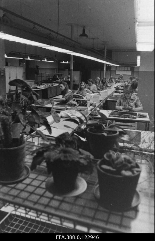 Kommunistlik laupäevak Nahkgalanteriikombinaadi "Linda" Viljandi osakonnas.