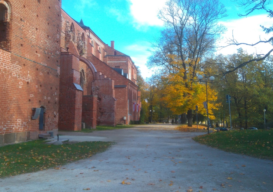 Ülikooli Raamatukogu, vaade kagust rephoto