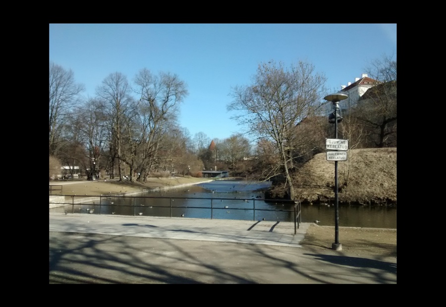 Šnelli tiik rephoto