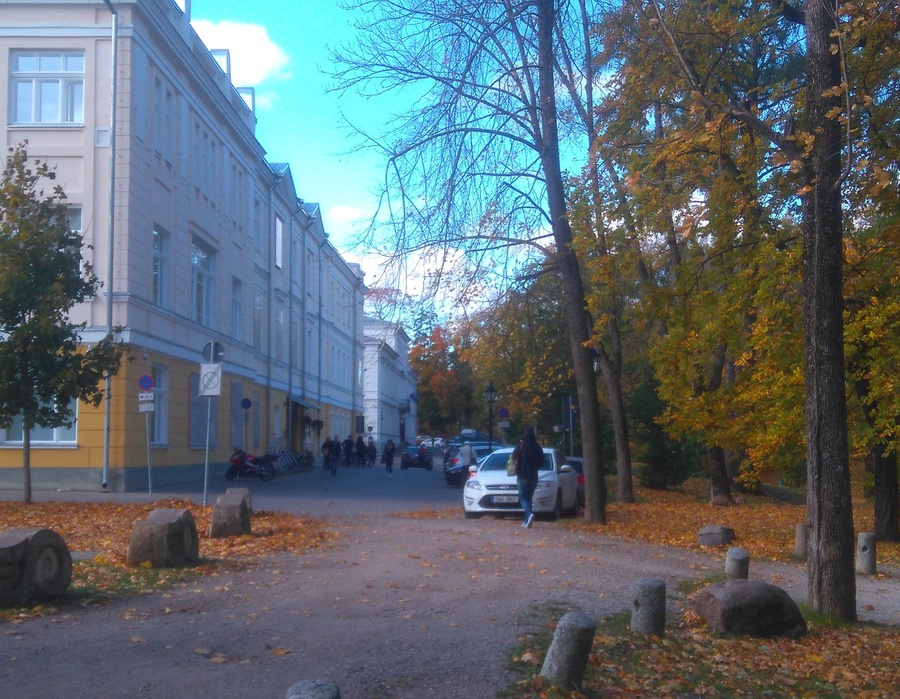 Vaade Toomemäe kliinikutele rephoto