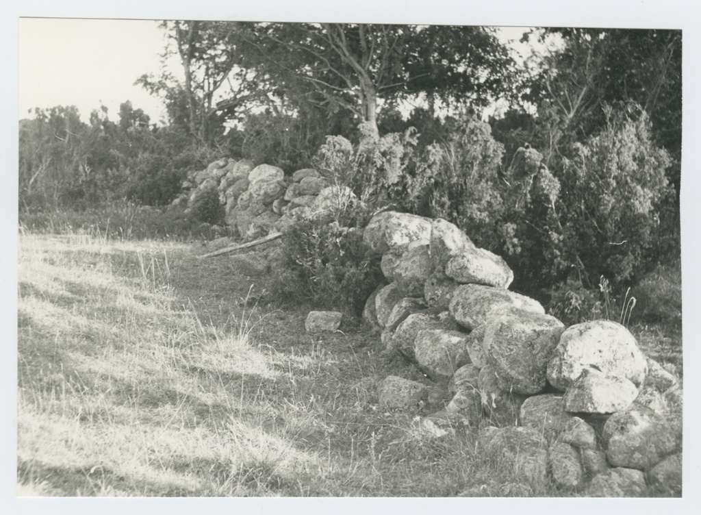 Põllukividest laotud kiviaed Aksi saarel
