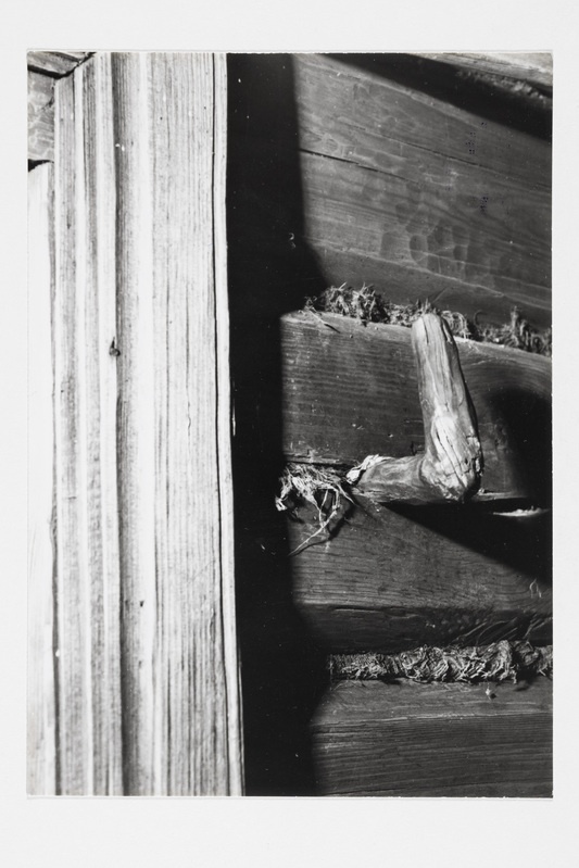 Mütsiriputuskonks "tulonja" elamu toaukse kõrval.