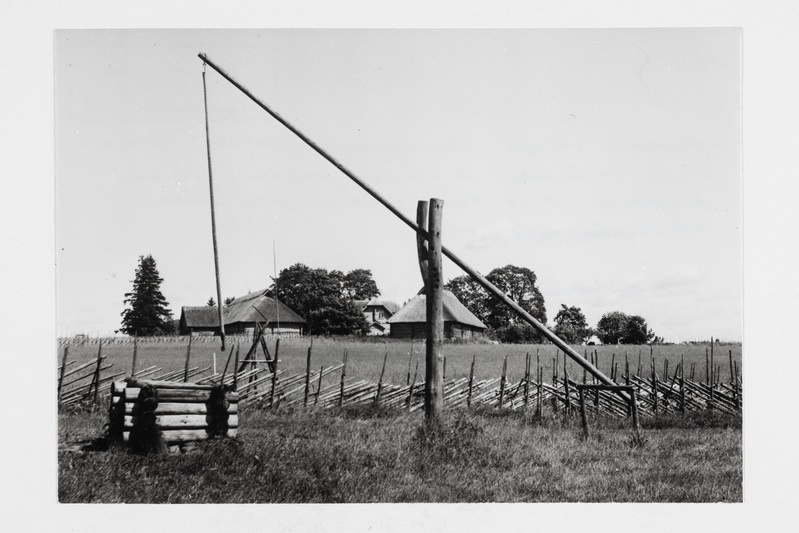 Vaade Põhja-Tammsaare talule.