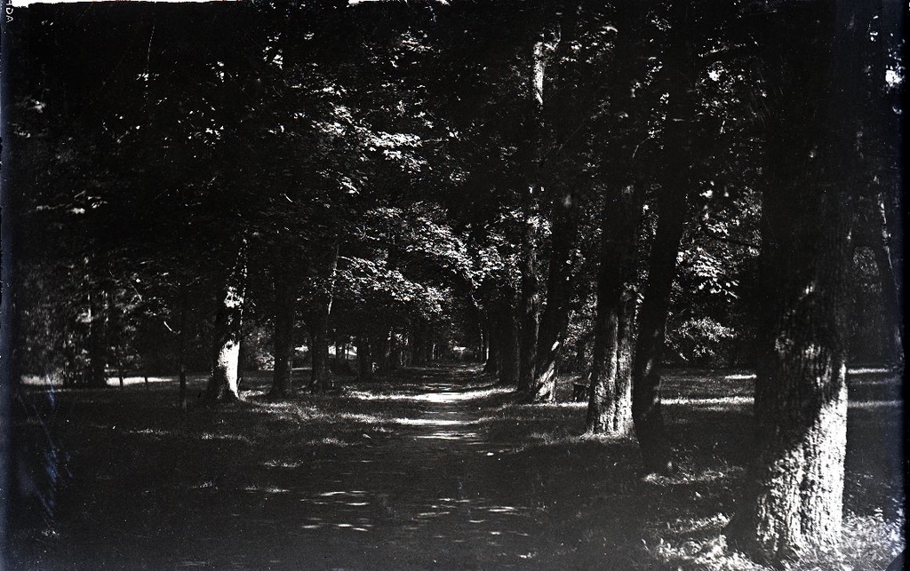 Kärla park Saaremaal