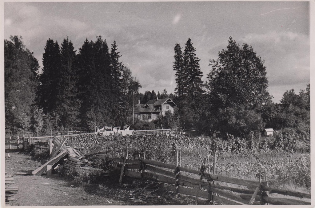 Ülevaade Kurgjale loodest.