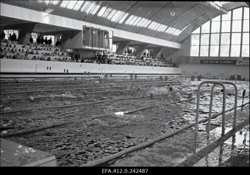 Tallinna Siseujula avamine.