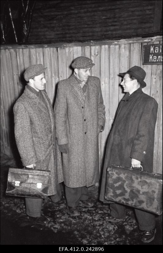 24 tundi... (Reportaaz "N-H"-s); Männiku tehas; Piimakombinaat; Tallinn-Väikses; "S" võrgu poisid; Apteegi ukse taga; Filterveevärgis; Kesktelegraafis jne.