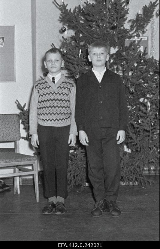 Majavalitsuse laste nääripuu.