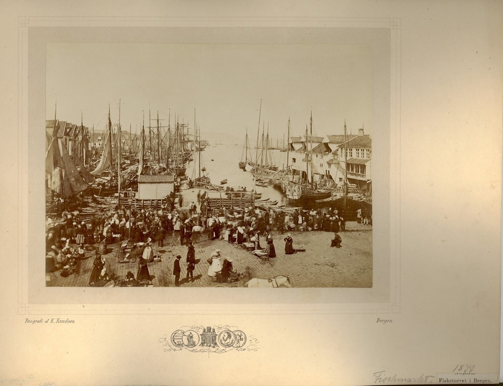 Kalaturg Bergenis Norras 1877.a.