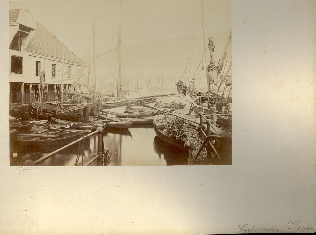 Bergen sadamalinn Norras 1877.a.