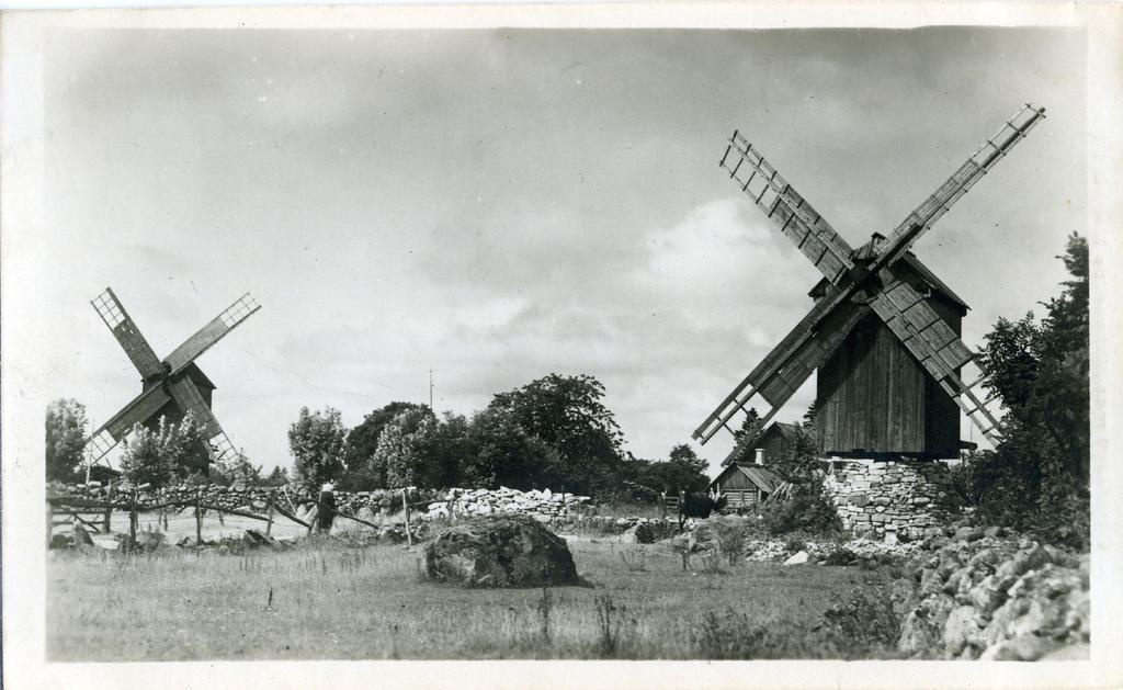 Tuulikud Saaremaal
