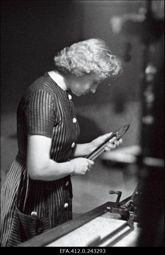 "Punase Koidu" kangur Aino Kõrtsini