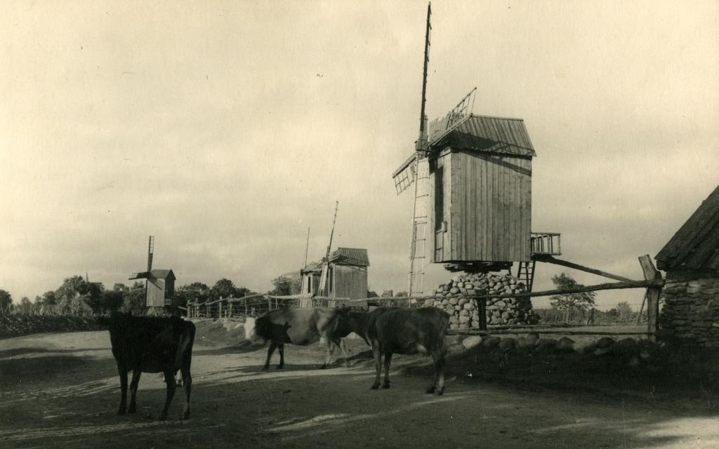 Tuulikud Sõrves