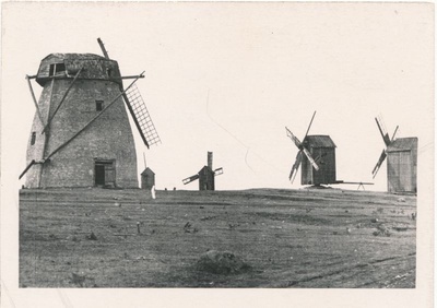 Foto. Tuulikuid Hiiumaalt. 1963. Ü. p. postkaardilt. M. Arro.  duplicate photo