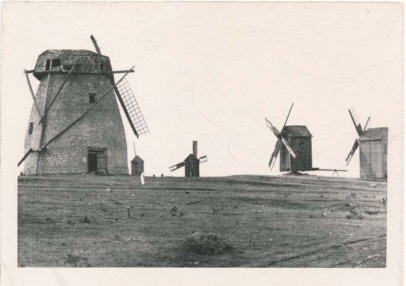 Foto. Tuulikuid Hiiumaalt. 1963. Ü. p. postkaardilt. M. Arro.