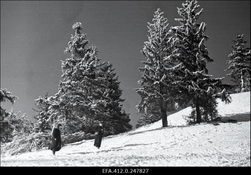 NSV Liidu suusatamise meistrivõistluste ajal Otepääl.