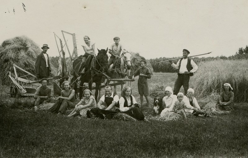 Rukkilõikuse jõudehetk Vällil a. 1936