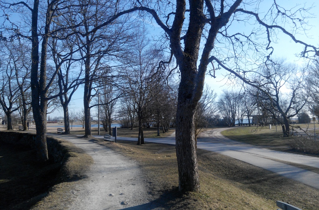 Kuressaare rand, vaade puiesteele, taamal nn. tursakirik rephoto
