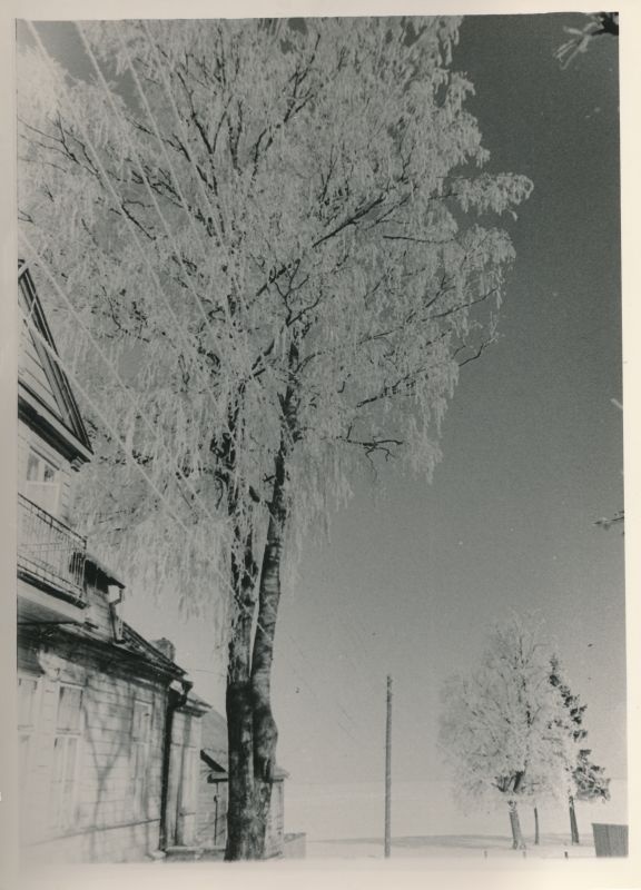Foto. Talvine vaade Linda tn. otsa kohalt Haapsalu lahele. 1958.a. veebr. Mustvalge.