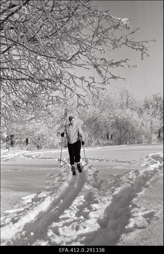 Talvine härmas Tallinn.