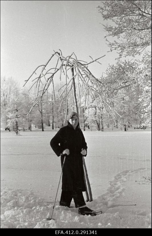 Talvine härmas Tallinn.