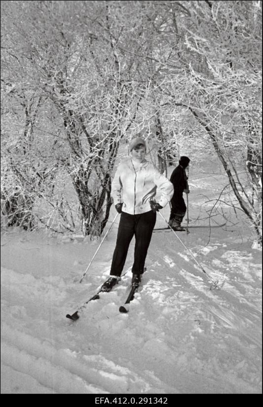 Talvine härmas Tallinn.