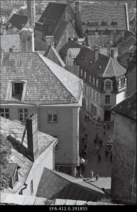 Vanalinna panoraam Toompealt. (suvine päev).