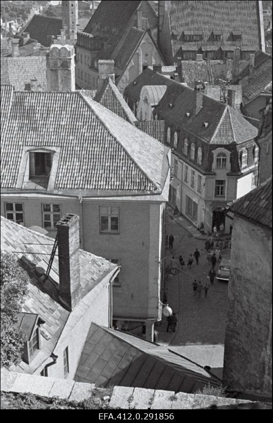 Vanalinna panoraam Toompealt. (suvine päev).