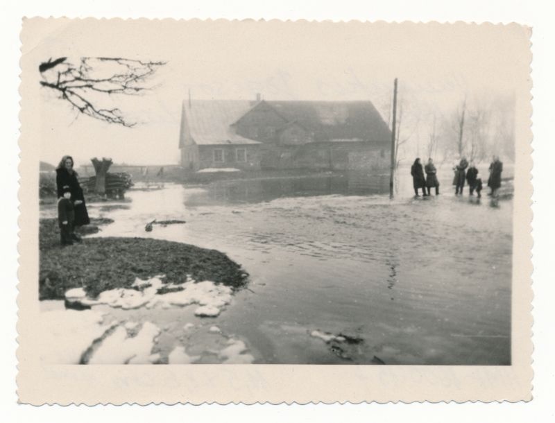 Foto.Veeuputus Jõgisoo villaveski juures Liivil 1948.a. kevadel. Mustvalge.