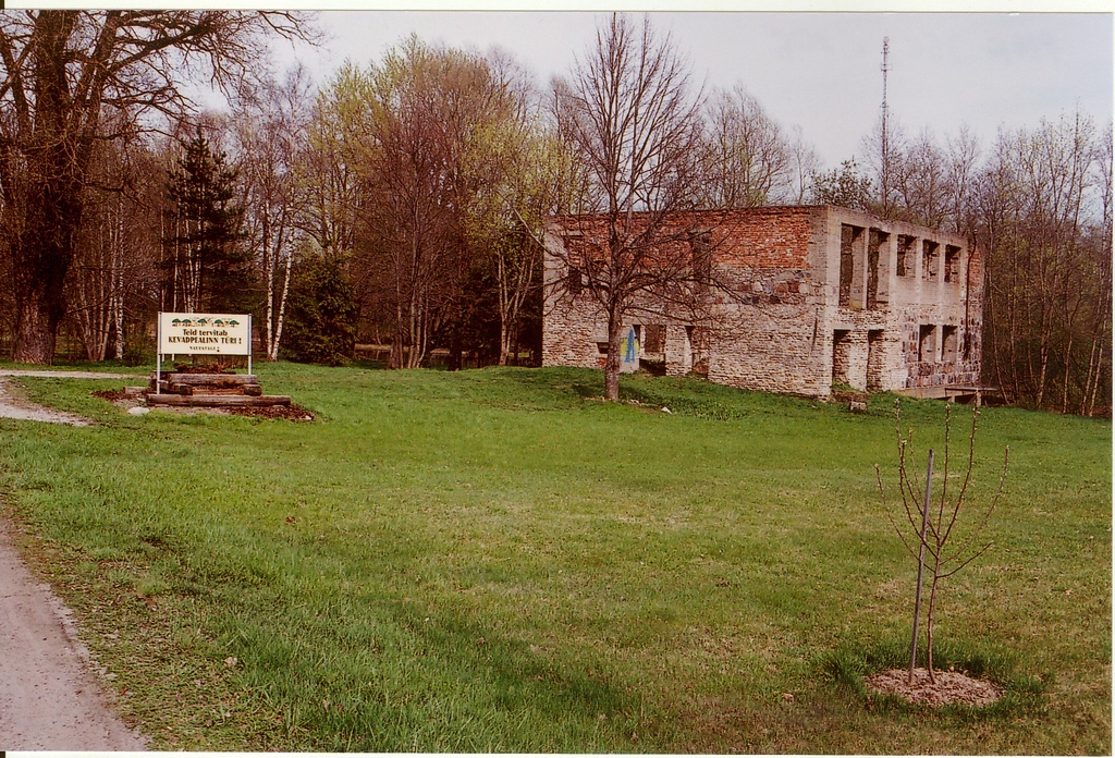 veski varemed Türil