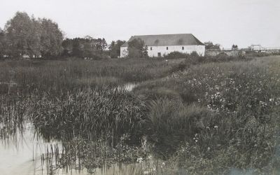 Painküla veskitamm Pedja jõel