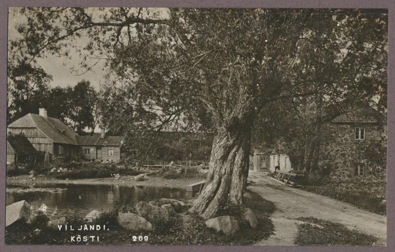 foto albumis, Viljandi, Kösti järv, veski, u 1910, foto J. Riet