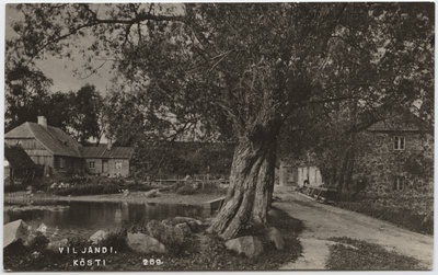 fotopostkaart, Viljandi, Kösti järv, veski, elamu, u 1910, foto J. Riet  duplicate photo