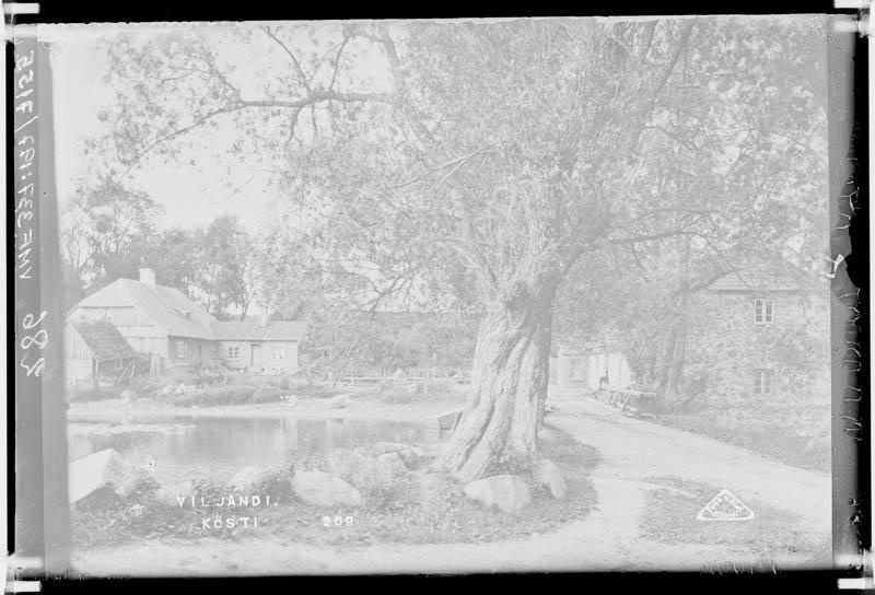 fotonegatiiv, Viljandi, Kösti järv, veski, elumaja u 1920, foto J. Riet