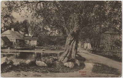 trükipostkaart, Viljandi, Kösti järv, veski, elamu, u 1910, H. Leoke'se kirjastus, foto J. Riet  duplicate photo
