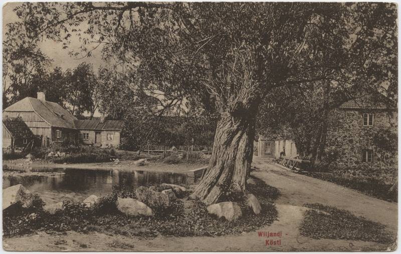 trükipostkaart, Viljandi, Kösti järv, veski, elamu, u 1910, H. Leoke'se kirjastus, foto J. Riet