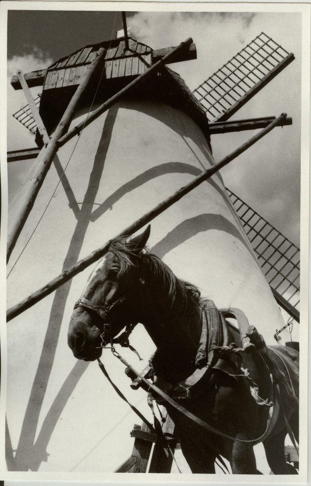 foto Seidla veski 1994