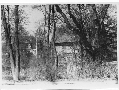 Vaade Palamuse veskile ja Goldbergide villale  duplicate photo