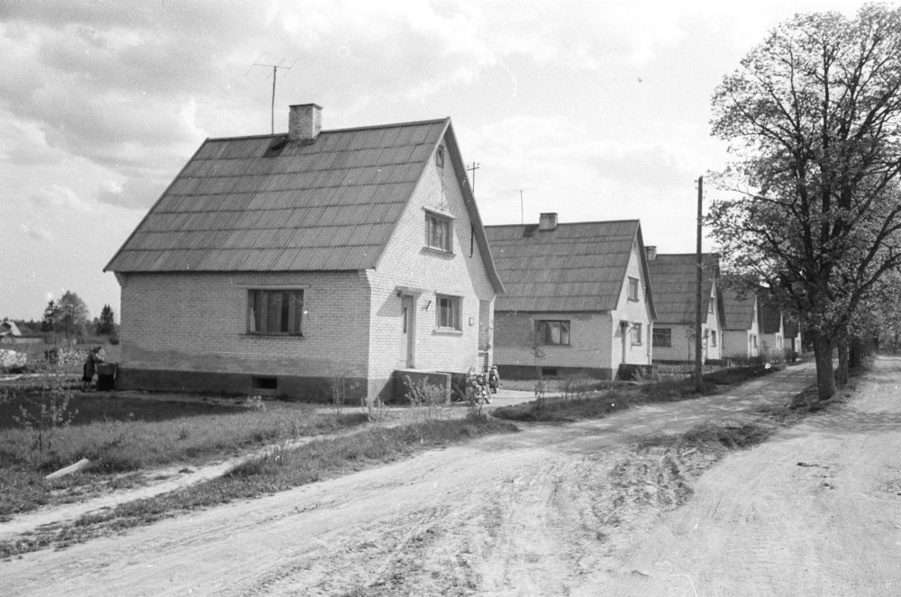 Uued elamud Lasila mõisa rajatud sovhoosiasulas.