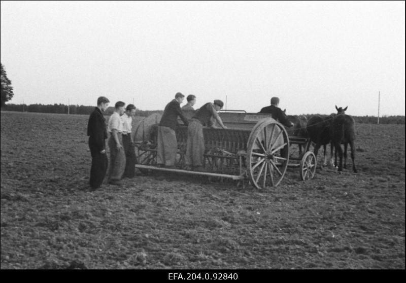 Olustvere Põllumajandustehnikumi 3. kursuse õpilased põllul reaskülvimasinaga rukist külvamas.