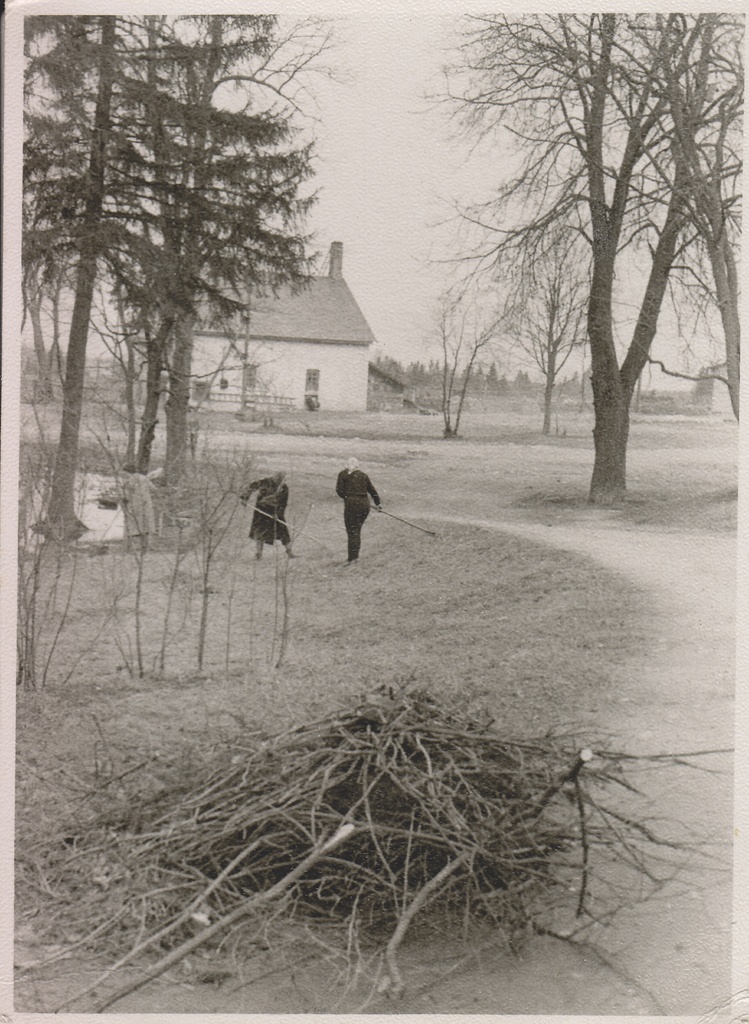 Lasila.view the grain dryer