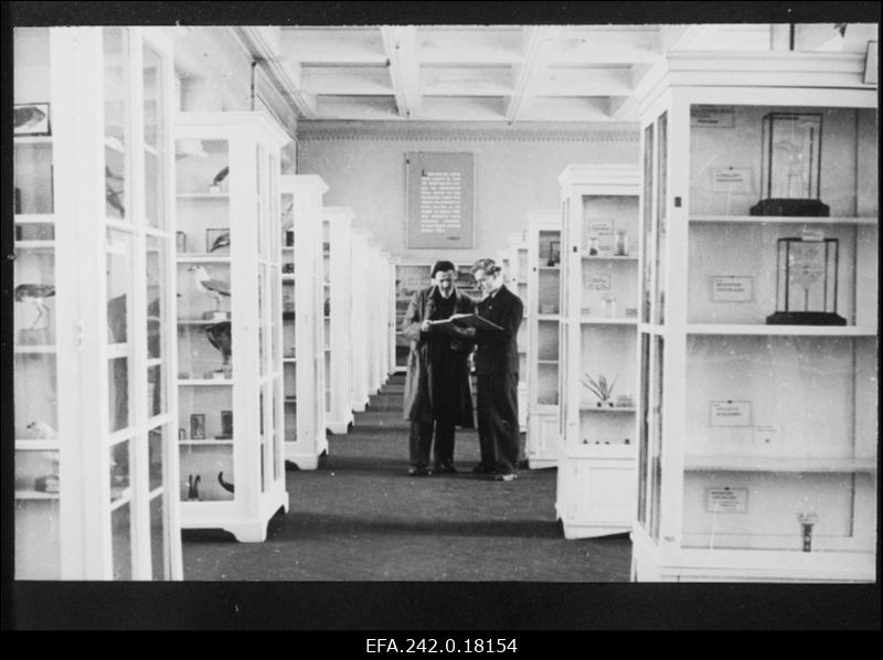 Tartu Riikliku Ülikooli Zooloogia muuseumi ühe saali vaade.