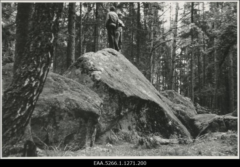 Rändrahnud Palmse mõisa pargis